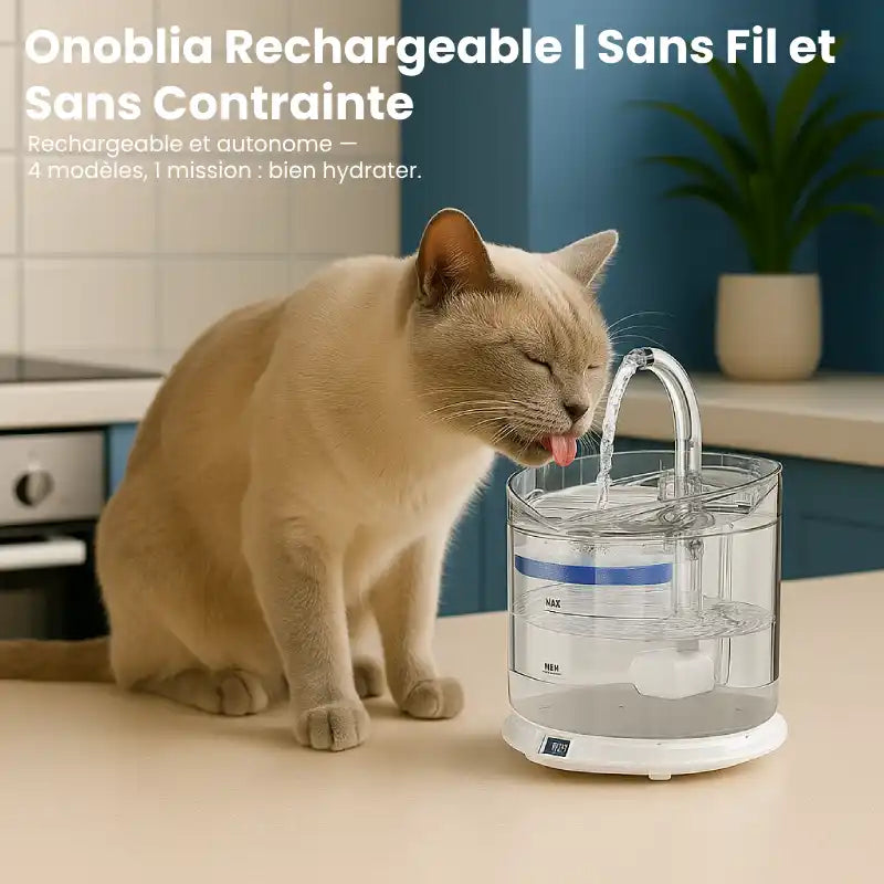 Fontaine à eau pour chat  |  Modèle rechargeable