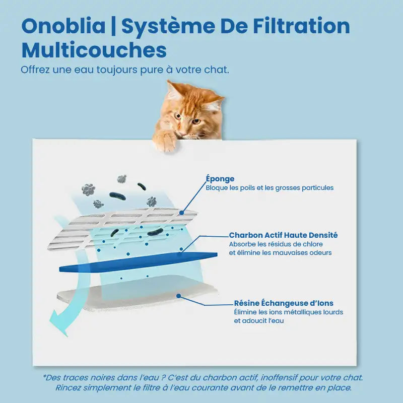 Fontaine à eau pour chat - Onoblia : filtration multicouches
