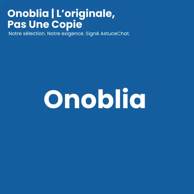 Fontaine à eau pour chat - Onoblia : l'original
