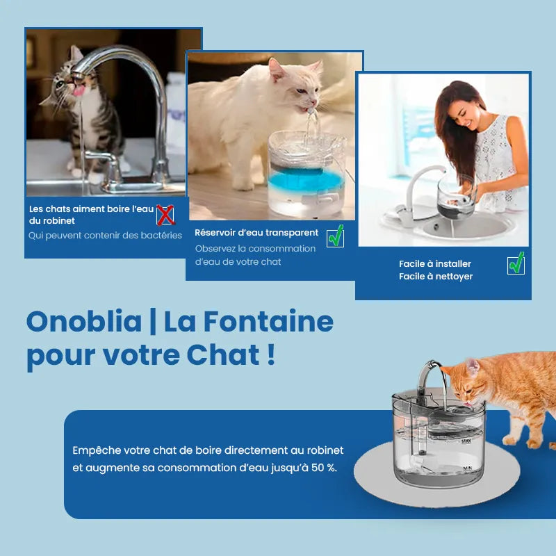 Fontaine à eau pour chat  |  Onoblia la fontaine