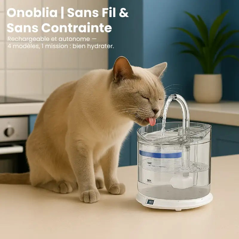 Fontaine à eau pour chat - Onoblia : sans fil - AstuceChat