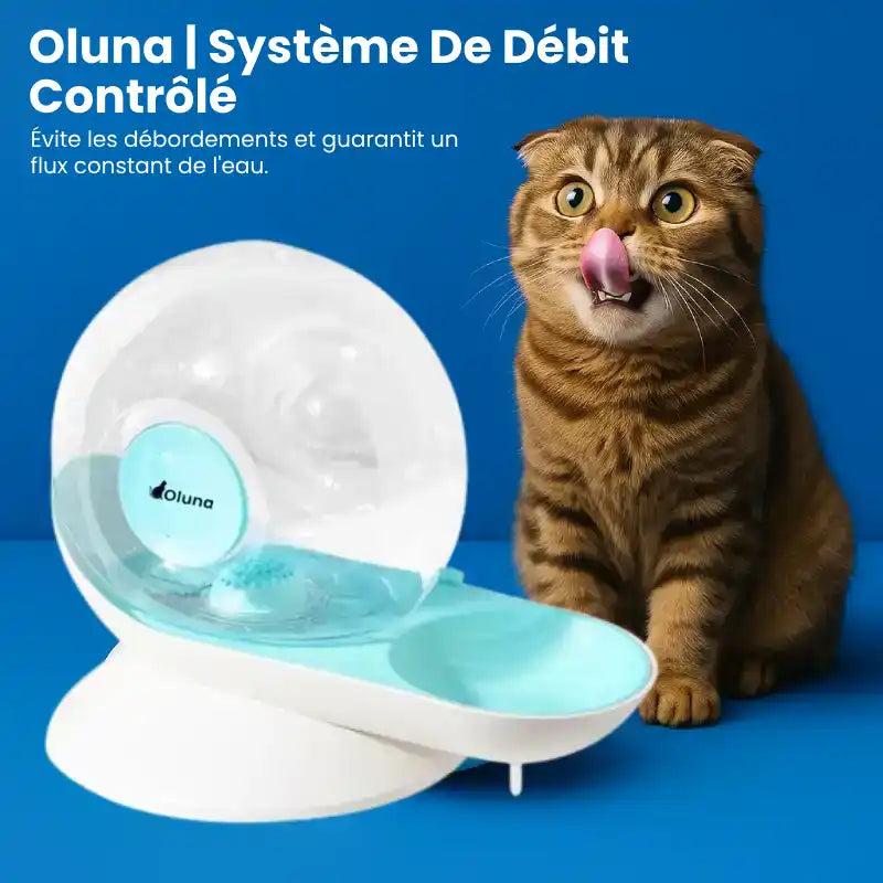 Fontaine à eau chat sans électricité  - Oluna : débit contrôlé