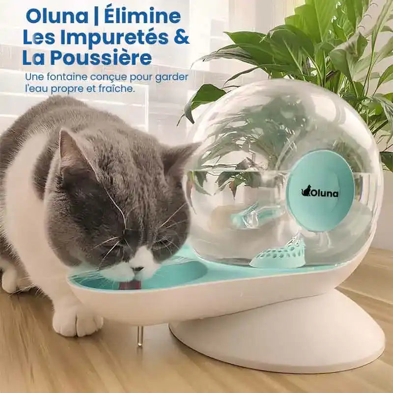 Fontaine à eau chat sans électricité - Oluna : pureté