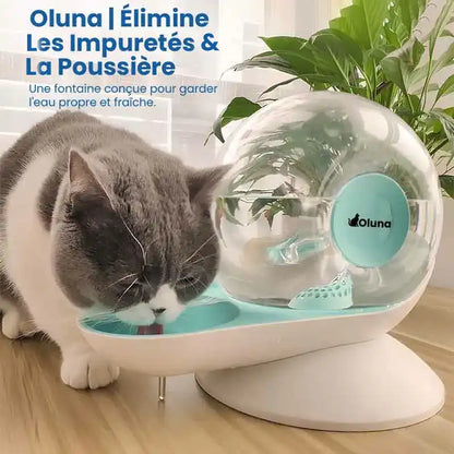 Fontaine à eau chat sans électricité - Oluna : pureté
