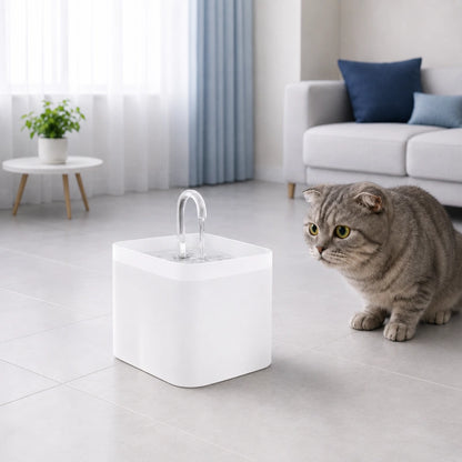 Fontaine eau chat compacte et élégante - Ovelou : format compact avec Scottish Fold gris, modèle Blanc Neige - AstuceChat