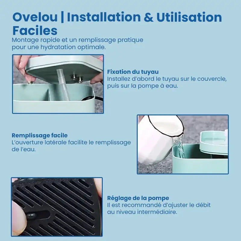 Fontaine eau chat - Ovelou : installation et utilisation