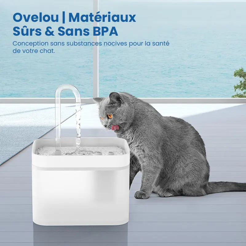 Fontaine eau chat - Ovelou : sans BPA