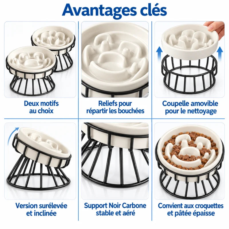 Gamelle anti glouton chat céramique - Gastil : six avantages clés de la coupelle et du support Noir Carbone - AstuceChat