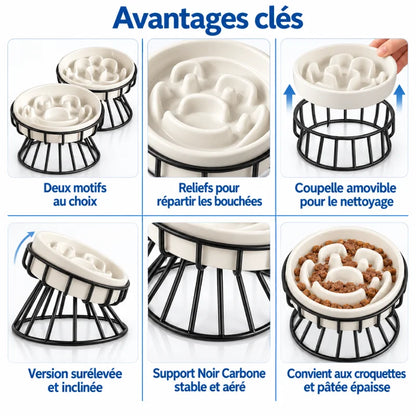 Gamelle anti glouton chat céramique - Gastil : six avantages clés de la coupelle et du support Noir Carbone - AstuceChat