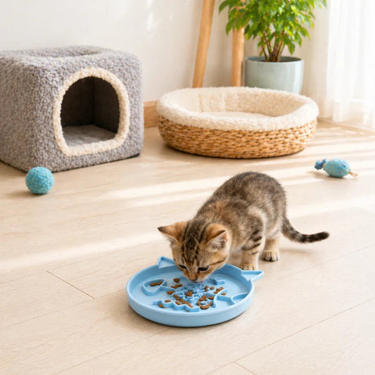Gamelle anti glouton chaton poisson - Garête - AstuceChat