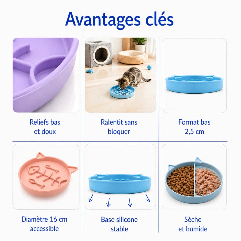 Gamelle anti glouton chaton poisson - Garête : avantages clés - AstuceChat