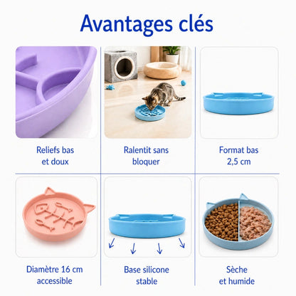 Gamelle anti glouton chaton poisson - Garête : avantages clés - AstuceChat
