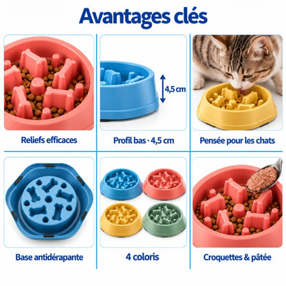 Gamelle anti glouton pour chat - Ganos : avantages clés en Bleu Fjord, Rose Corail, Jaune Miel et Vert Sauge - AstuceChat