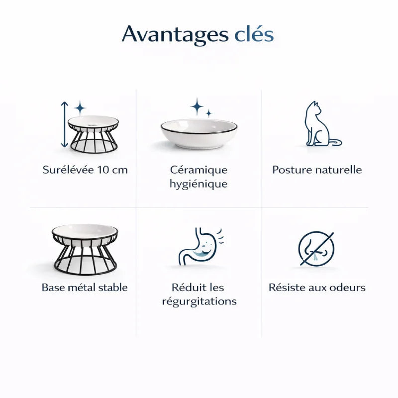Gamelle céramique pour chat - Galyra : avantages clés - AstuceChat