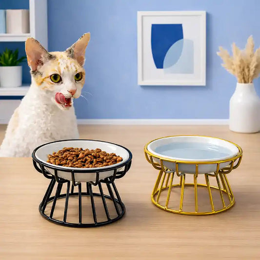Gamelle céramique pour chat - Galyra : lifestyle chat et finitions Noir Carbone et Or Champagne - AstuceChat