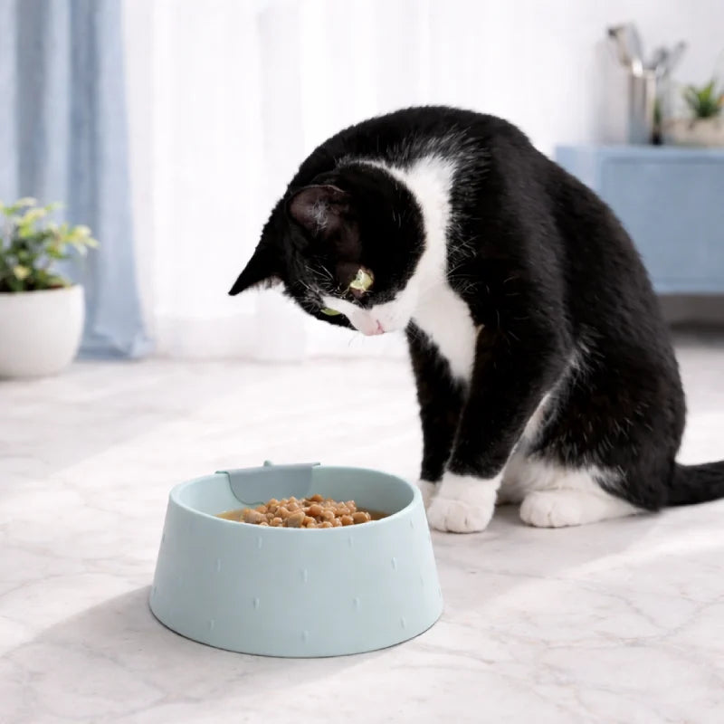 Gamelle chat anti renversement - Galéor : chat devant la gamelle - AstuceChat