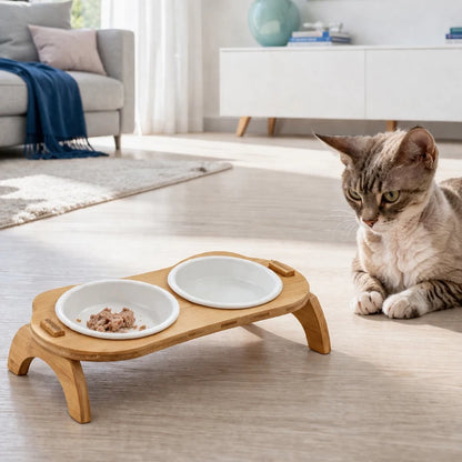 Gamelle chat bambou - Galma : chat gris près du modèle Duo dans la maison - AstuceChat