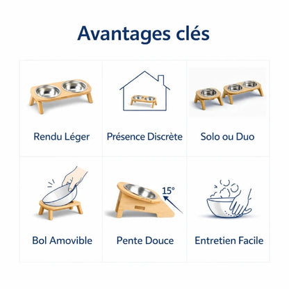 Gamelle chat bois - Gabane : avantages clés - AstuceChat