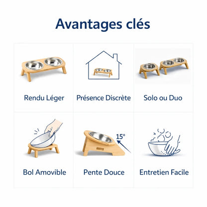 Gamelle chat bois - Gabane : avantages clés en images - AstuceChat