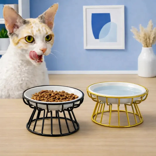 Gamelle Chat Céramique Surélevée – Galyra – Noir & Or – AstuceChat