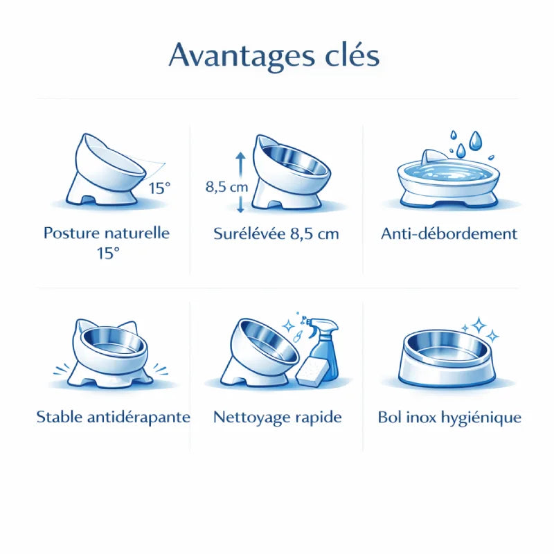 Gamelle chat design - Gachat : avantages clés - AstuceChat