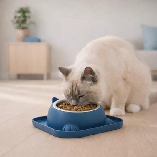 Gamelle chat design Gachat - chat crème mange des croquettes dans une gamelle surélevée bleu nuit en intérieur scandinave - AstuceChat