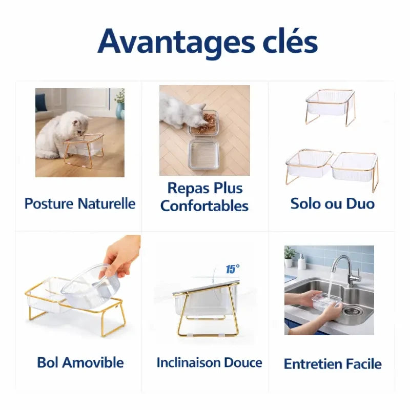 Gamelle chat eau - Gaïdra : avantages clés en images - AstuceChat