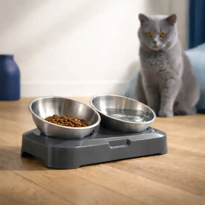 Gamelle chat en hauteur - Galénaï : lifestyle British Shorthair gris - AstuceChat