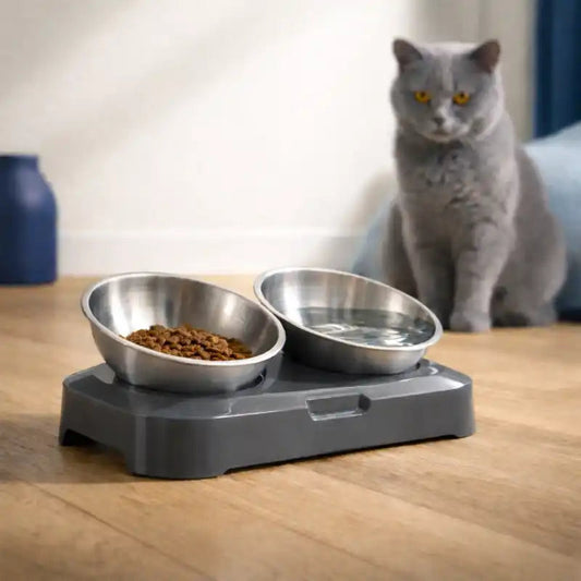 Gamelle chat en hauteur - Galénaï : lifestyle British Shorthair gris - AstuceChat