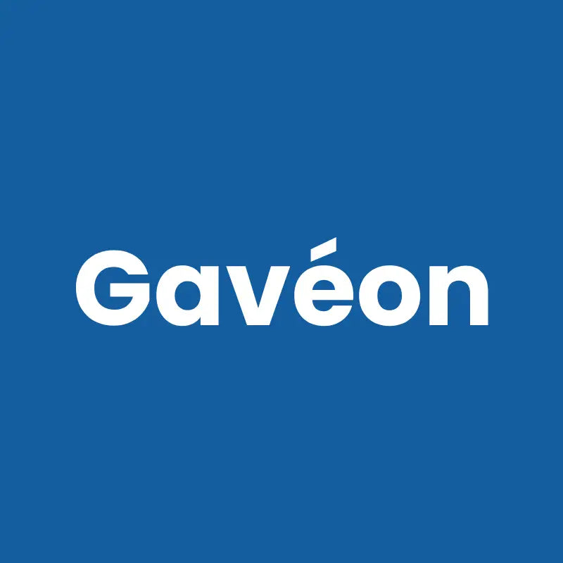 Gamelle Chat Inclinée - Gavéon : avec AstuceChat