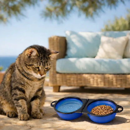 Gamelle chat silicone double bleu horizon - Gaflexi - avec chat en extérieur - AstuceChat