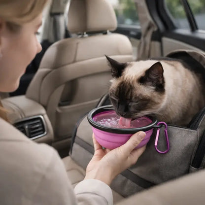 Gamelle chat silicone - Gaflexi - chat qui boit pendant un trajet en voiture - AstuceChat