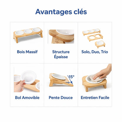 Gamelle chat support bois - Galbeau  : avantages clés en images - AstuceChat