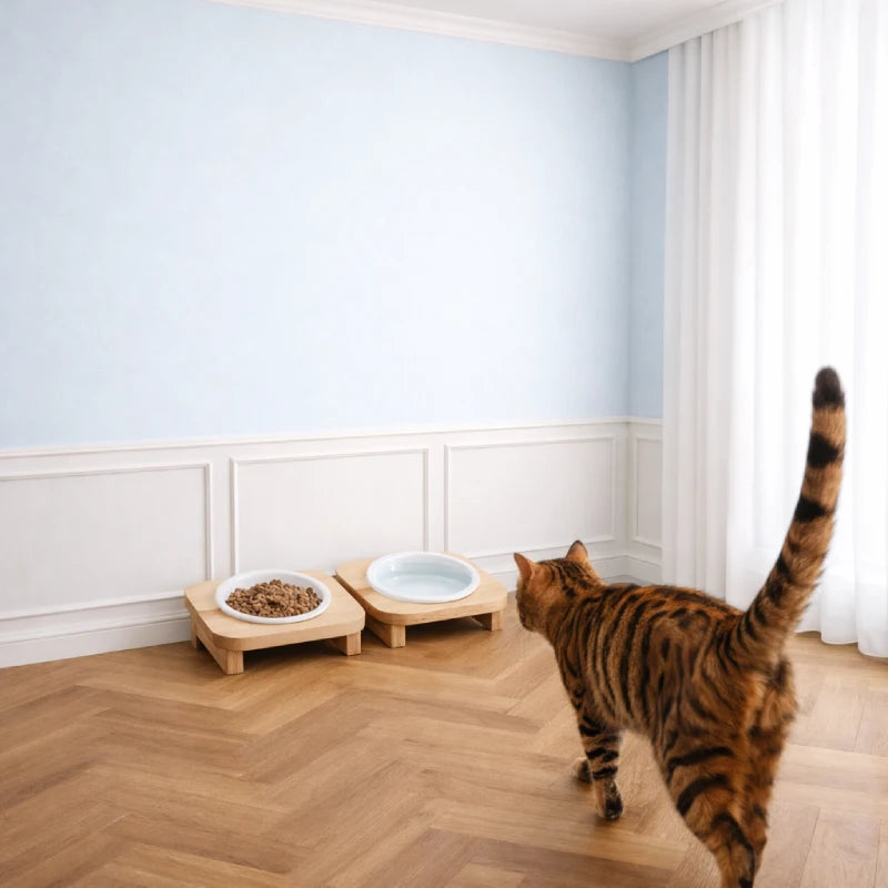 Gamelle chat support bois - Galbeau  : chat Toyger  s'approche de ses gamelles AstuceChat