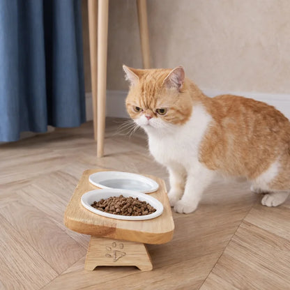 Gamelle chat support bois - Galbeau : Duo avec chat dans la maison - AstuceChat