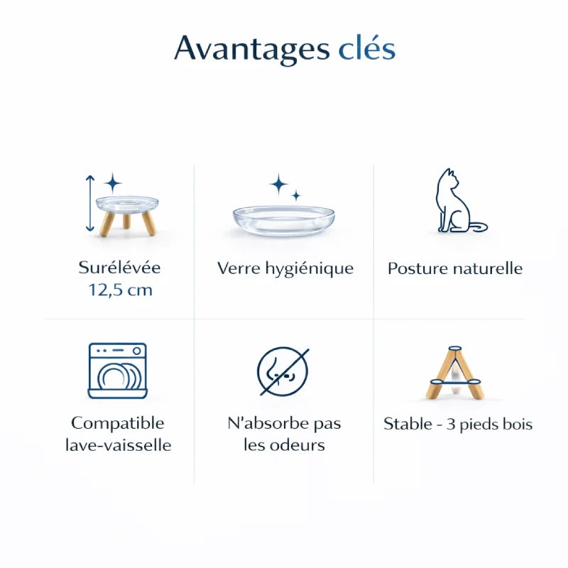 Gamelle chat surélevée – Gavéra : avantages clefs - AstuceChat