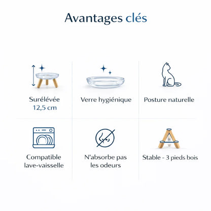 Gamelle chat surélevée – Gavéra : avantages clefs - AstuceChat