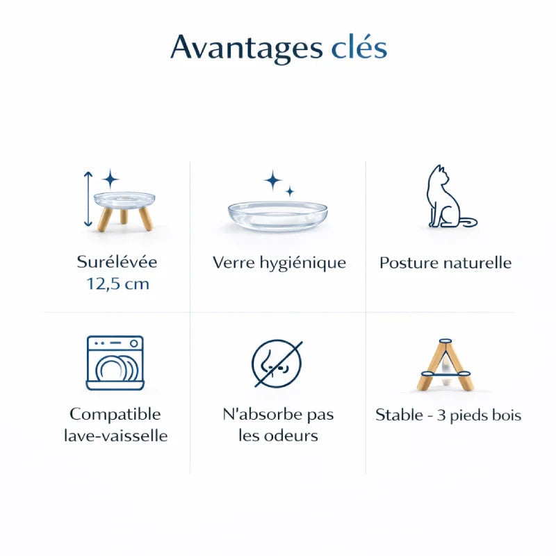 Gamelle chat surélevée - Gavéra : avantages clés - AstuceChat