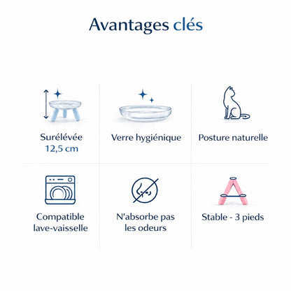 Gamelle chat surélevée - Gavéra : avantages clés - AstuceChat