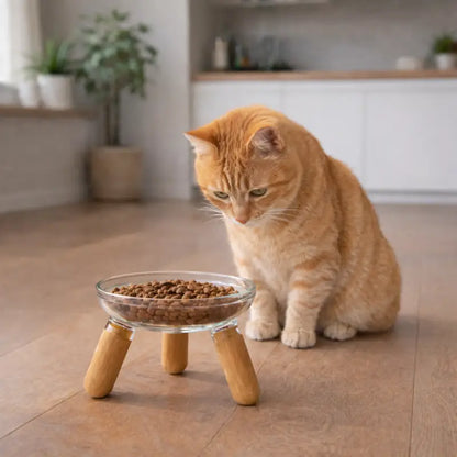 Gamelle chat surélevée – Gavéra – Chat Assis – AstuceChat