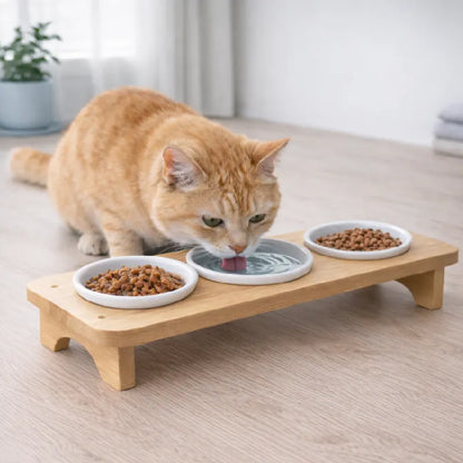 Gamelle chat triple - Gaviko : chat roux avec station 3 en 1 - AstuceChat