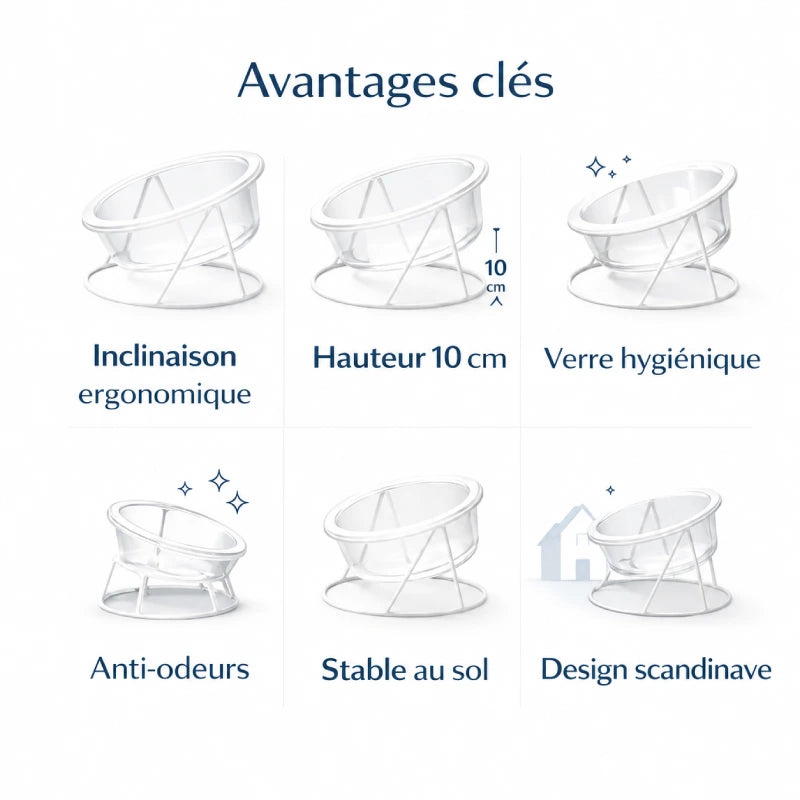 Gamelle chat verre - Gavska : avantages clés - AstuceChat