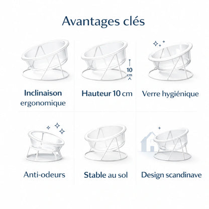 Gamelle chat verre - Gavska : avantages clés - AstuceChat