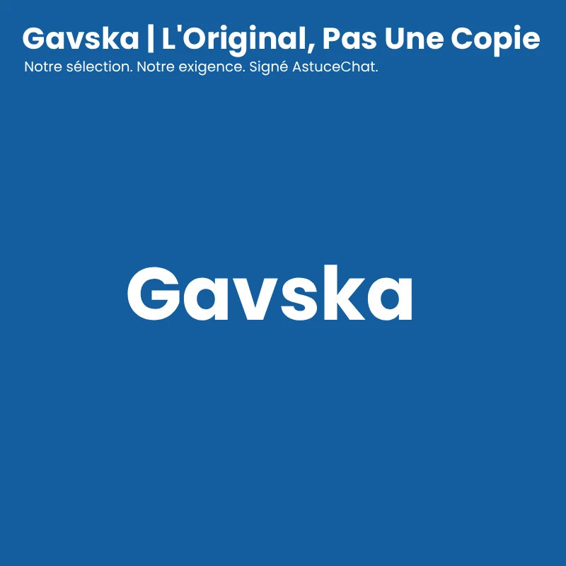 Gamelle chat verre - Gavska bannière titre du produit et signature AstuceChat - AstuceChat