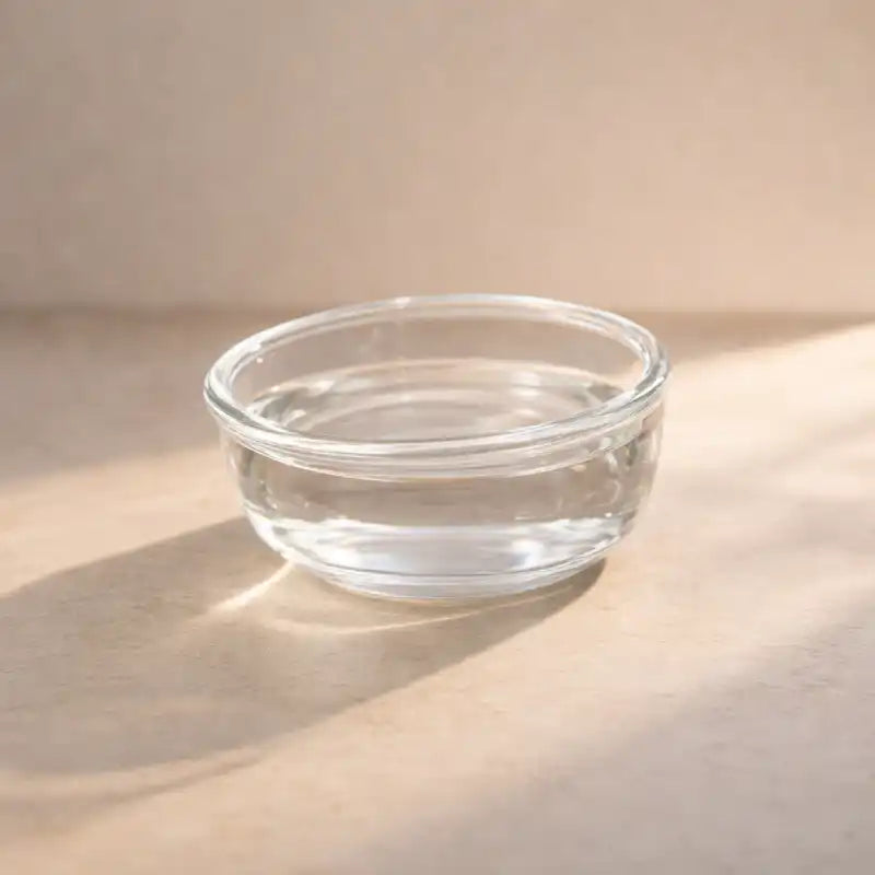 Gamelle chat verre - Gavska bol en verre transparent seul rempli d’eau - AstuceChat