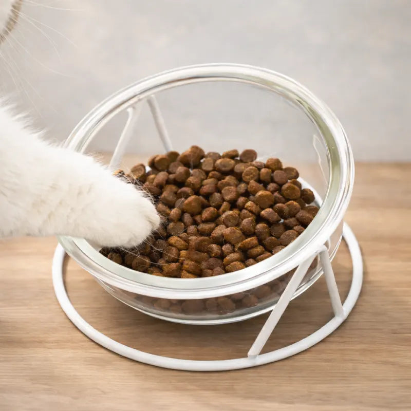 Gamelle chat verre - Gavska avec patte de chat dans les croquettes détail sur bol incliné - AstuceChat