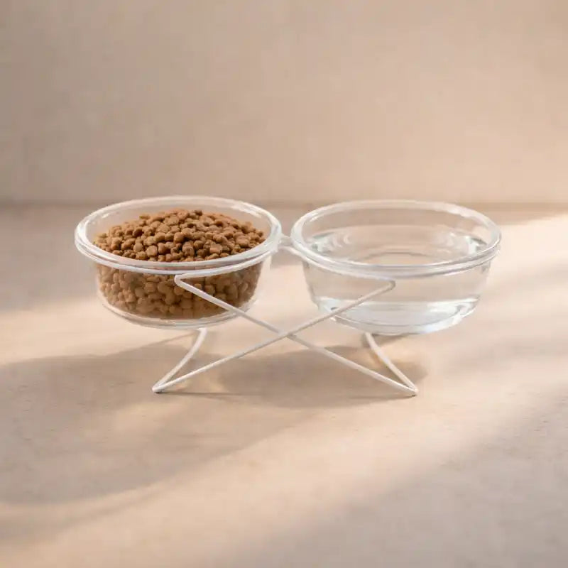 Gamelle chat verre - Gavska double bol design en verre sur support blanc fond minimal - AstuceChat