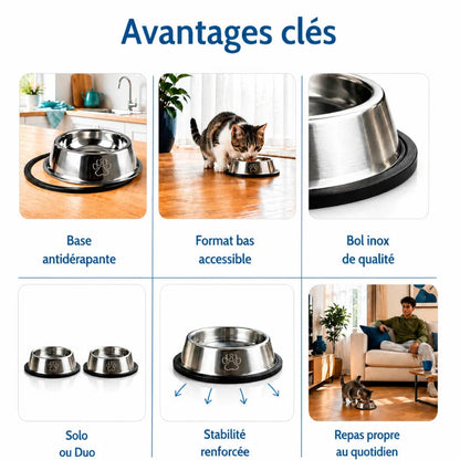 Gamelle chaton antidérapante - Gacely : avantages clés - AstuceChat