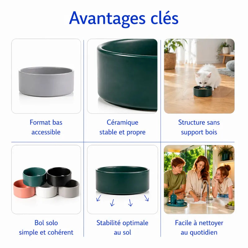 Gamelle chaton céramique - Gaceri : avantages clés - AstuceChat
