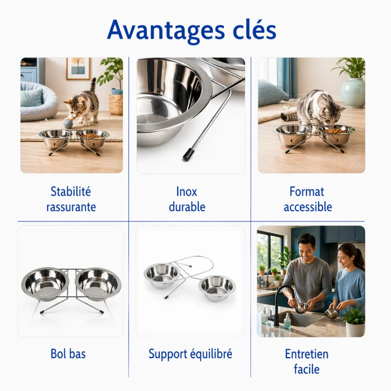 Gamelle Chaton Inox - Gatinox : avantages clés stabilité rassurante et format accessible - AstuceChat